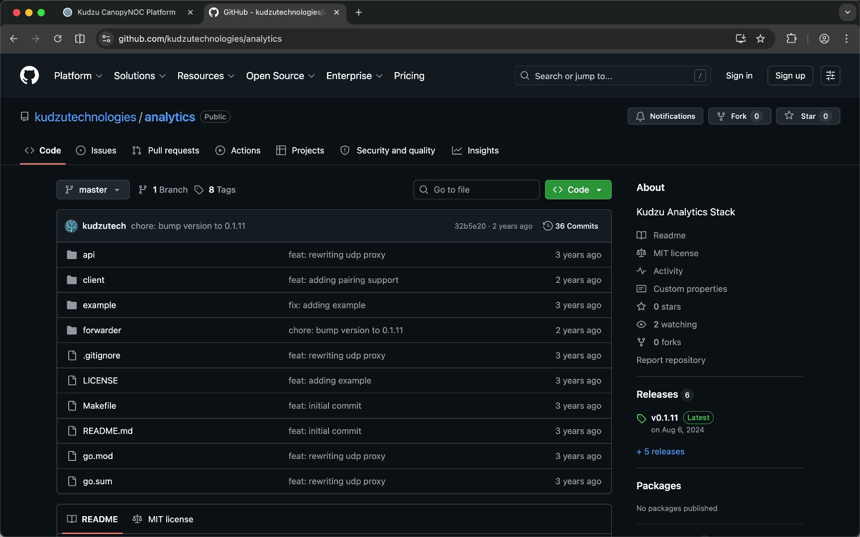 API Ingress page showing the analytics repository link